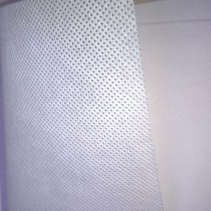 Plp 70g/m2 White – 160cm (250m rolls)